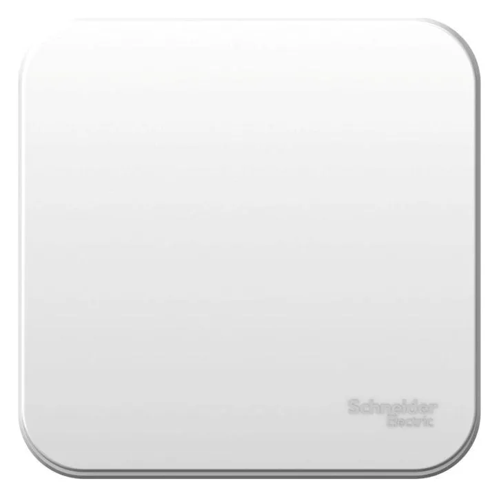 Выключатель 1-кл. ОП Blanca 6А IP20 (сх. 1) 250В с изолир. пластиной бел. SE BLNVA061011