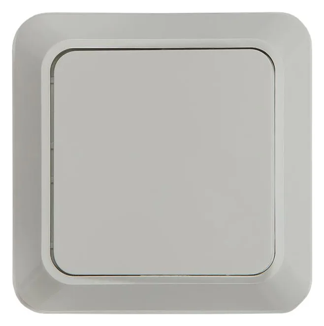 Выключатель 1-кл. ОП Bolleto 10А IP20 7021 бел. ASD / IN HOME 4680005959747