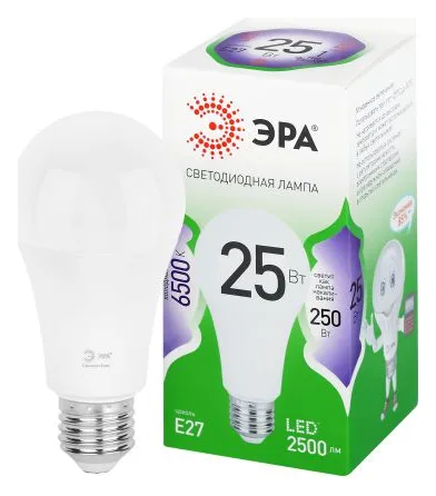 Лампа светодиодная GREEN LINE A60-25W-865-E27 GL 25Вт груша 6500К свет холод. E27 Эра Б0067111
