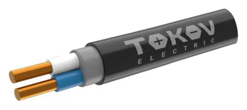 Кабель TOKOV ELECTRIC ППГнг(А)-HF 2х1.5 ОК (N) 0.66кВ (м) ТХМ00409112