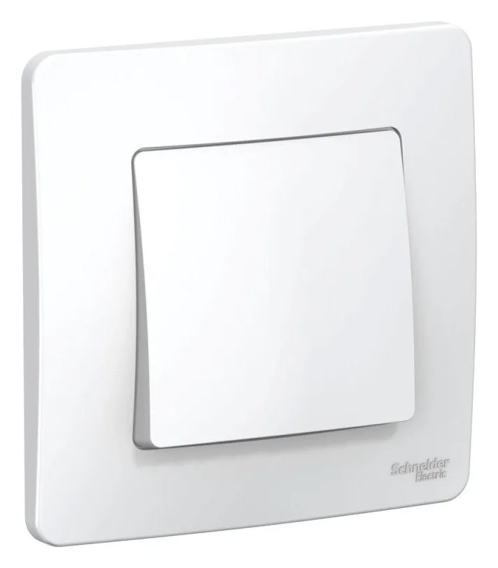 Выключатель 1-кл. СП Blanca 6А IP20 (сх. 1) 250В бел. SE BLNVS006101