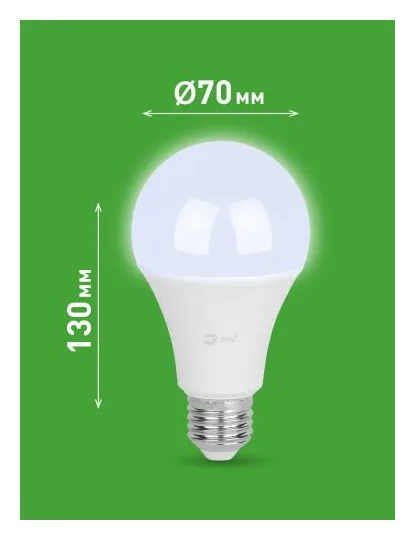 Лампа светодиодная GREEN LINE A65-30W-865-E27 GL 30Вт груша 6500К свет холод. E27 Эра Б0067145