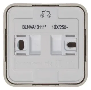 Выключатель 1-кл. ОП Blanca 10А IP20 (сх. 1) 250В с подсветкой с изолир. пластиной беж. SE BLNVA101117