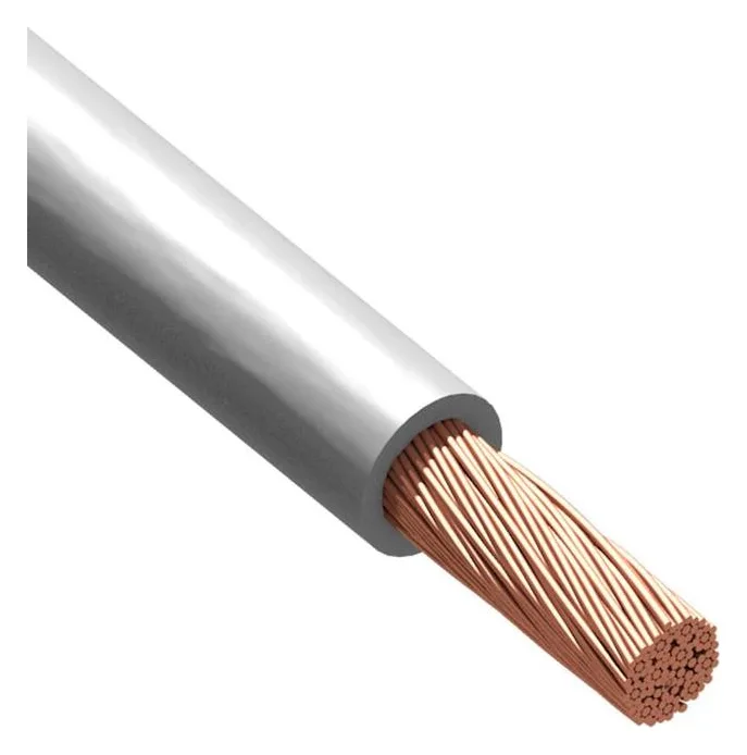 Провод Русский Свет ПуГВнг(А)-LS 1х70 450/750В Б (м) 2153