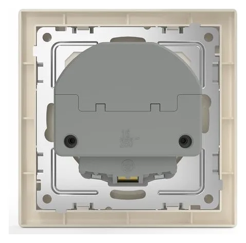 Розетка 1-м СП Pixel IP20 с заземл. с 2-мя заряд. устр. USB тип A+C механизм беж. TOKOV ELECTRIC TKE-PX-R1U2AC-C02