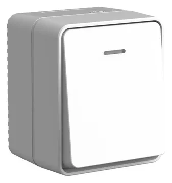 Выключатель 1-кл. ОП AtlasDesign PROFI IP54 10АX с подсветкой сер. SE ATN543013
