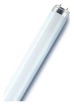Лампа люминесцентная L 18W/840 LUMILUX 18Вт T8 4000К G13 смол. OSRAM 4058075693074